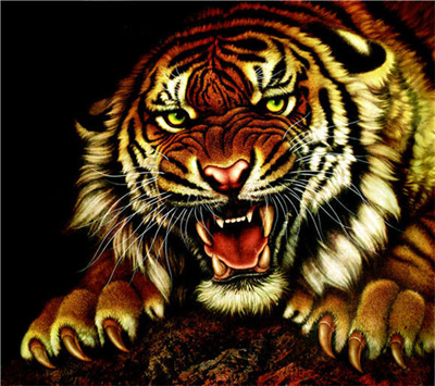 /uploads/articles/2011/01/1296102159-575940.jpg