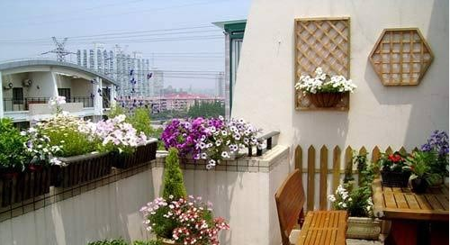 Ban công mùa đông đầy nắng Archi - Ban công mùa đông đầy nắng