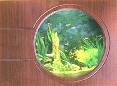 Bể cá treo tường theo phong thủy 