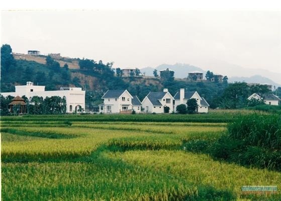 Biệt thự ven đô - xây cũng khổ mà dừng cũng khổ