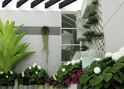 Bố trí cây cảnh tại phòng ăn theo Phong Thủy