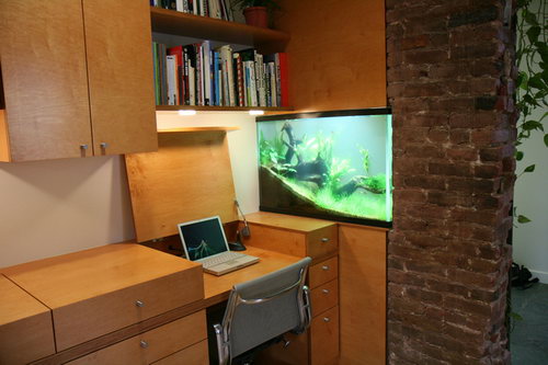 Archi - Căn hộ 18m2 cho anh chàng độc thân