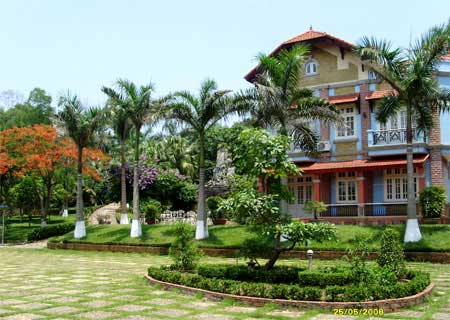 Cây đem lại may mắn theo phong thủy
